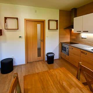 Prodej bytu 2+kk 48 m² Lipová-lázně, Lipová-lázně, okres Jeseník