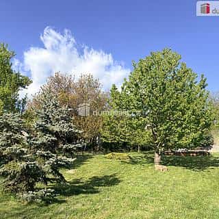 Prodej zahrady 888 m² Mikulov, Bezručova, Mikulov, okres Břeclav