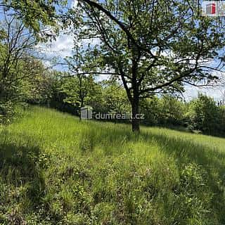 Prodej louky 5056 m² Uherské Hradiště, Partyzánská, Uherské Hradiště