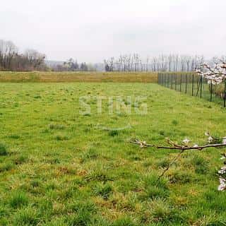 Prodej stavební parcely 1416 m² Moravičany, Moravičany, okres Šumperk