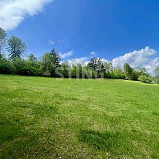 Prodej lesa 16440 m² Městečko Trnávka, Městečko Trnávka, okres Svitavy