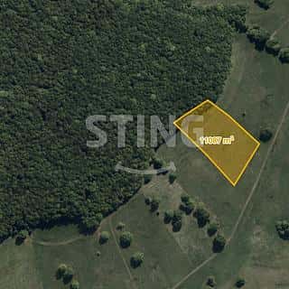 Prodej louky 11087 m² Hrubá Vrbka, Hrubá Vrbka, okres Hodonín