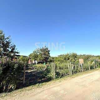 Prodej zahrady 261 m² Hodonín, Hodonín