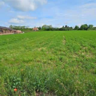 Prodej stavební parcely 1379 m² Moravský Krumlov, Nad Haltýři, Moravský Krumlov, okres Znojmo