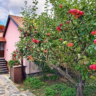 Prodej rodinného domu 157 m² Rozdrojovice, Brána, Rozdrojovice, okres Brno-venkov