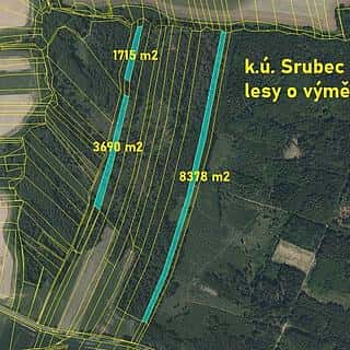 Prodej lesa 13783 m² Srubec, Ledenická-Škarda, Srubec, okres České Budějovice