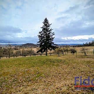 Prodej zahrady 1054 m² Klatovy, Klatovy