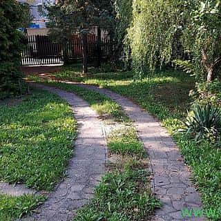 Pronájem zahrady 19 m² Brno, Brno, okres Brno-město