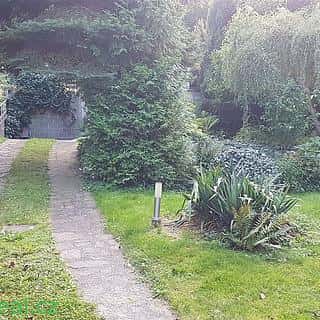 Pronájem parkovacího místa 20 m² Brno, Brno, okres Brno-město