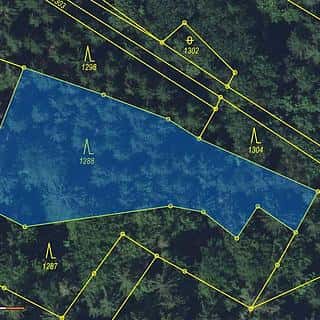 Prodej lesa 2272 m² Paseky nad Jizerou, Paseky nad Jizerou, okres Semily