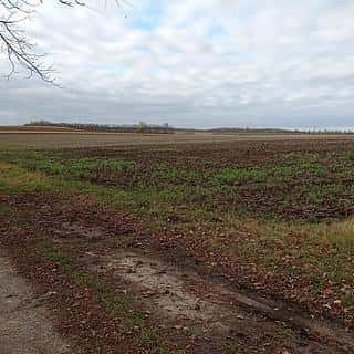 Prodej ostatních pozemků 25617 m² Sedlec, Sedlec, okres Břeclav