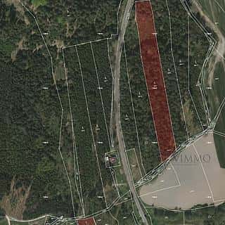 Prodej lesa 12320 m² Borovany, Borovany, okres České Budějovice