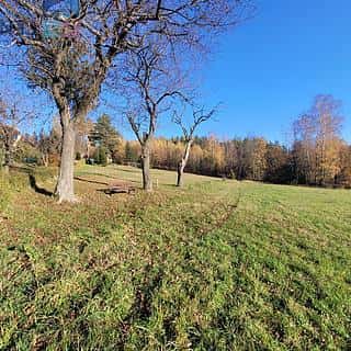 Prodej louky 6834 m² Železný Brod, Železný Brod, okres Jablonec nad Nisou