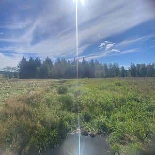 Prodej lesa 29205 m² Borová Lada, Borová Lada, okres Prachatice