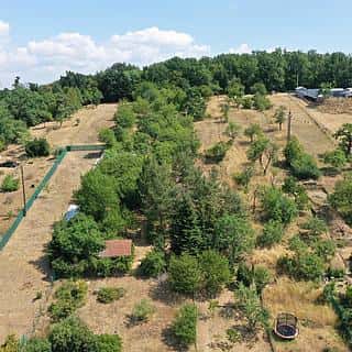Prodej zahrady 1857 m² Radostice, Radostice, okres Brno-venkov