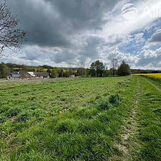 Prodej stavební parcely 3978 m² Rudná pod Pradědem, Rudná pod Pradědem, okres Bruntál