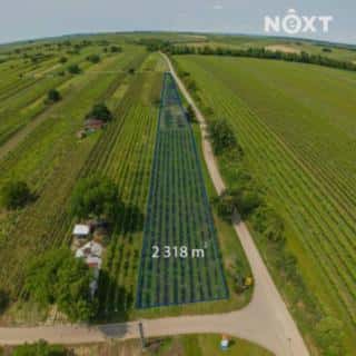 Prodej ostatních pozemků 2318 m² Prušánky, Prušánky, okres Hodonín