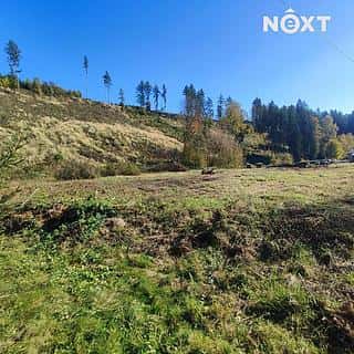 Prodej zahrady 2666 m² Staré Buky, Staré Buky, okres Trutnov