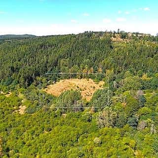 Prodej ostatních pozemků 8000 m² Libá, Libá, okres Cheb