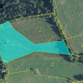 Prodej stavební parcely 5776 m² Borová, Borová, okres Svitavy