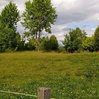 Prodej stavební parcely 7880 m² Mladějov na Moravě, Mladějov na Moravě, okres Svitavy