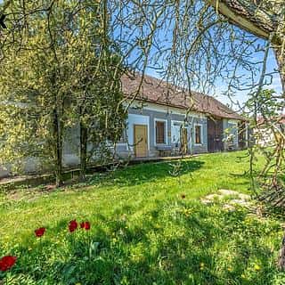 Prodej rodinného domu 180 m² Dobrovice, Dobrovice, okres Mladá Boleslav
