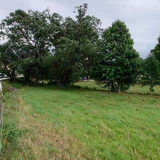 Prodej ostatních pozemků 6664 m² Strážný, Strážný, okres Prachatice