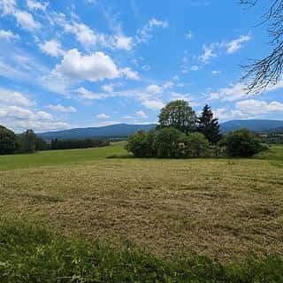 Prodej stavební parcely 2165 m² Nová Pec, Nová Pec, okres Prachatice