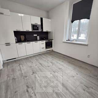 Pronájem bytu 1+1 45 m² Mělník, Pražská, Mělník