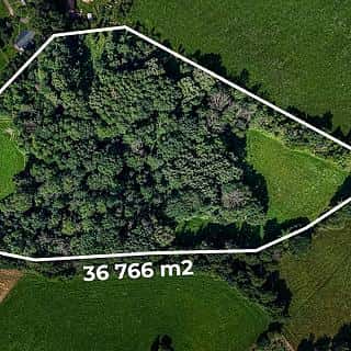 Prodej louky 36931 m² Mírová pod Kozákovem, Mírová pod Kozákovem, okres Semily
