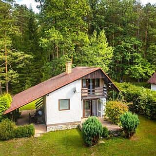 Prodej chaty 65 m² Borovany, Borovany, okres České Budějovice