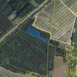 Prodej lesa 2180 m² Skorkov, Skorkov, okres Mladá Boleslav