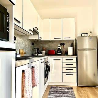 Pronájem bytu 1+1 40 m² Ostrava, Železárenská, Ostrava, okres Ostrava-město