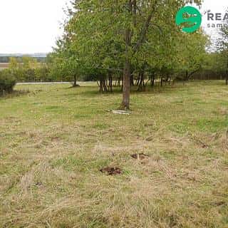 Prodej stavební parcely 2000 m² Konstantinovy Lázně, Konstantinovy Lázně, okres Tachov