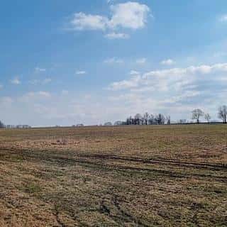 Prodej zemědělské půdy 859004 m² Ctiboř, Ctiboř, okres Tachov