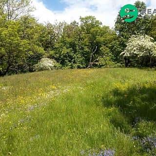 Prodej zahrady 679 m² Krňany, Krňany, okres Benešov