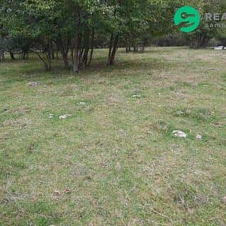 Prodej stavební parcely 4000 m² Konstantinovy Lázně, Konstantinovy Lázně, okres Tachov