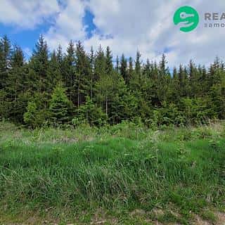 Prodej lesa 72939 m² Počátky, Počátky, okres Pelhřimov