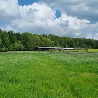 Prodej zemědělské půdy 645446 m² Hošťka, Hošťka, okres Tachov