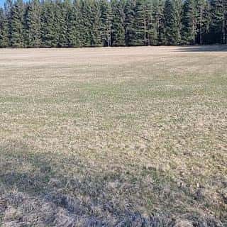 Prodej zemědělské půdy 37459 m² Chodský Újezd, Chodský Újezd, okres Tachov