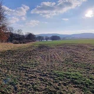 Prodej zemědělské půdy 47205 m² Staré Sedliště, Staré Sedliště, okres Tachov