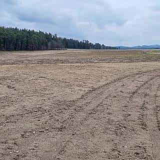 Prodej zemědělské půdy 159359 m² Tisová, Tisová, okres Tachov