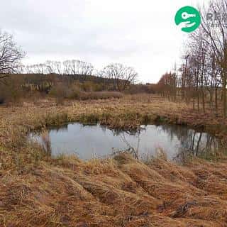 Prodej zahrady 6745 m² Cebiv, Cebiv, okres Tachov