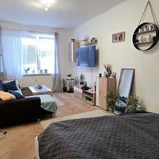 Pronájem bytu 2+1 58 m² Tachov, 1. máje, Tachov