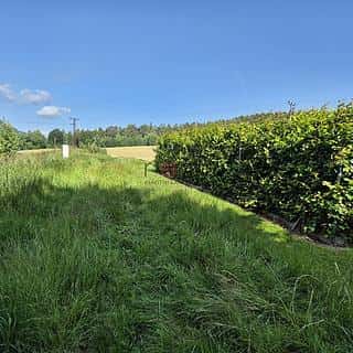 Prodej stavební parcely 1725 m² Cvikov, Cvikov, okres Česká Lípa
