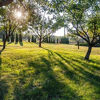 Prodej stavební parcely 1982 m² Mníšek pod Brdy, K Luckému mlýnu, Mníšek pod Brdy, okres Praha-západ
