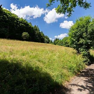 Prodej stavební parcely 1065 m² Klíny, Klíny, okres Most