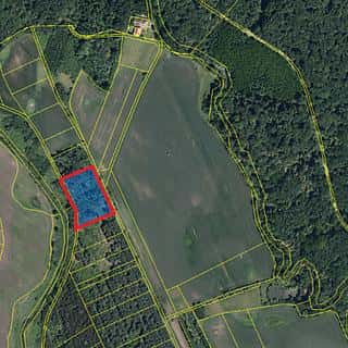 Prodej lesa 3405 m² Břeclav, Břeclav