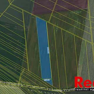 Prodej zemědělské půdy 38914 m² Křenovice, Křenovice, okres Vyškov