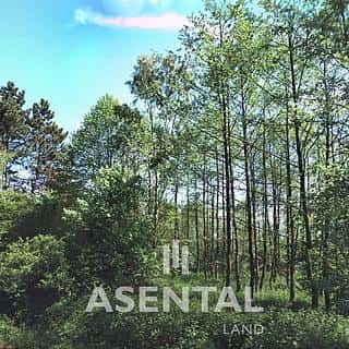 Prodej ostatních pozemků 5111 m² Stonava, Stonava, okres Karviná